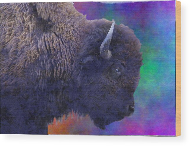 Bison Wood Print featuring the photograph Corporate headshot by Thomas Gorman