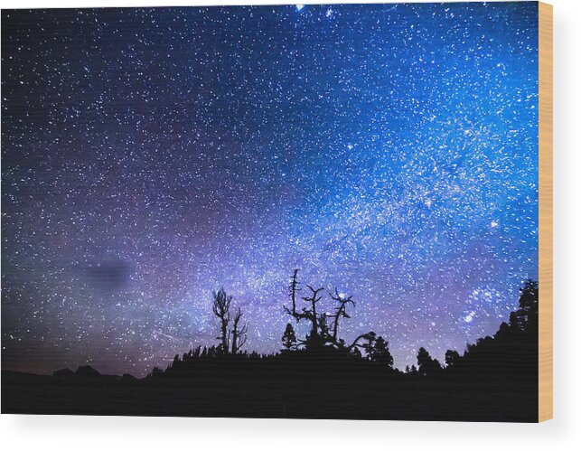 Sky Wood Print featuring the photograph Cosmic Kind Of Night by James BO Insogna