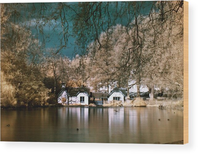 Landscape Wood Print featuring the photograph Cottage on the lake by Helga Novelli
