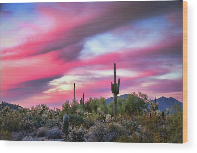 Saguaro Sunset Wood Print featuring the photograph Cotton Candy Skies by Saija Lehtonen