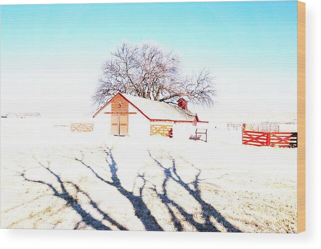 Ranch Wood Print featuring the photograph Cottonwood Ranch, Kansas by Merle Grenz