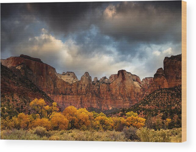 National Park Wood Print featuring the photograph Cottonwoods of Zion by Andrew Soundarajan