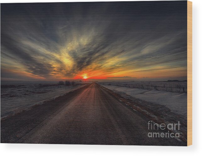Canada Wood Print featuring the photograph Country Road Dawn by Ian McGregor