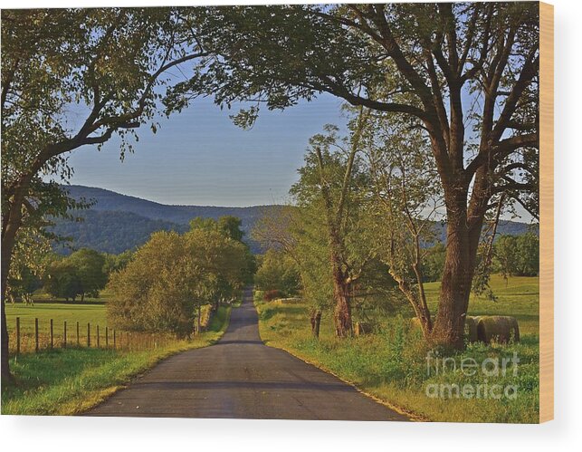 Country Road Wood Print featuring the photograph Country Roads by Tracy Rice Frame Of Mind