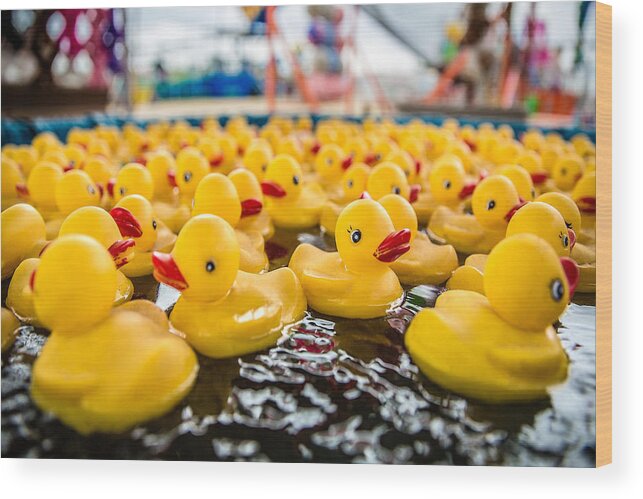 Rubber Ducks Wood Print featuring the photograph County Fair Rubber Duckies by Todd Klassy