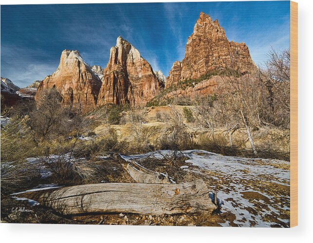 Mountains Wood Print featuring the photograph Court Of The Patriarchs by Christopher Holmes