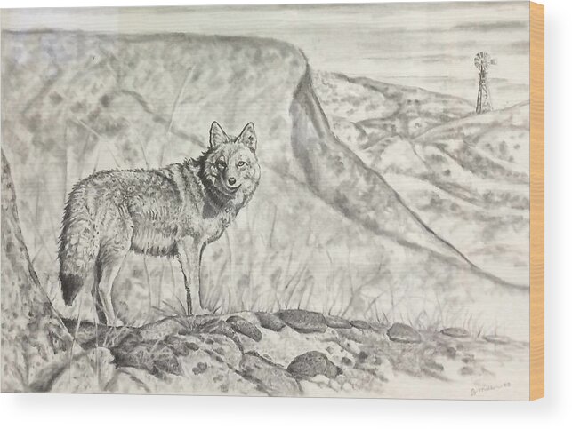 Art Wood Print featuring the drawing Coyote by Bern Miller