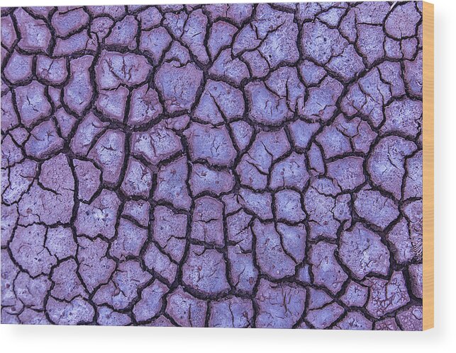 Cracked Earth Wood Print featuring the photograph Cracked Dry Earth by Garry Gay