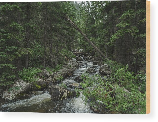 Dakota Wood Print featuring the photograph Crazy Woman Canyon by Greni Graph