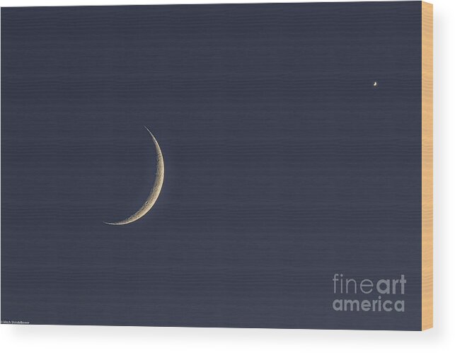 Crescent Moon And Venus Wood Print featuring the photograph Crescent Moon And Venus by Mitch Shindelbower