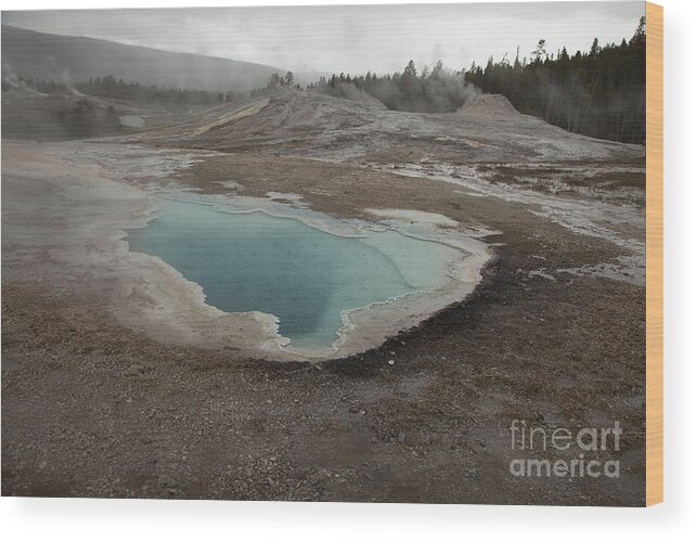Fumaroles Wood Print featuring the photograph Crested Pool, Upper Geyser Basin, Yellowstone by Greg Kopriva