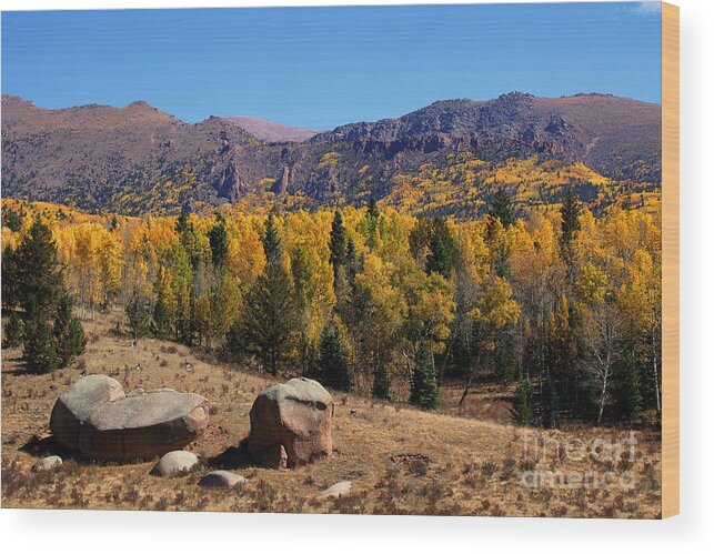 Autumn Colors Wood Print featuring the photograph Cripple Creek Gold Strike by Jim Garrison
