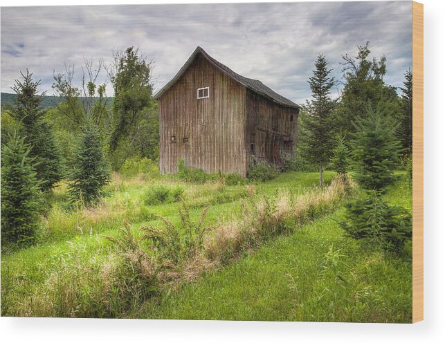 Old Barns Wood Print featuring the photograph Crooked Old Barn on South 21 - Finger Lakes New York State by Gary Heller