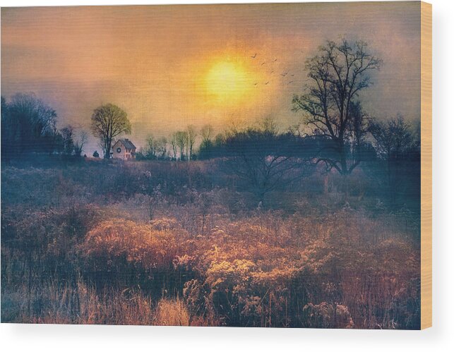 Meadows Wood Print featuring the photograph Crossing through the Meadows by John Rivera