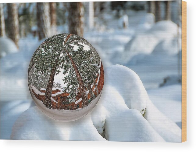 Conceptual Wood Print featuring the photograph Crystal Ball by Maria Coulson