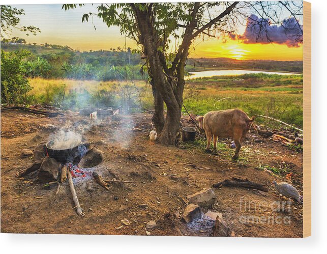 Habana Wood Print featuring the photograph Cuba dinner time by Jose Rey