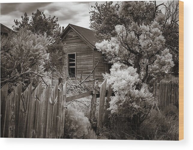Cuervo Wood Print featuring the photograph Cuervo 4 by James Barber