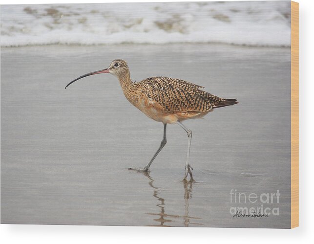 Bird Wood Print featuring the photograph Curlew in the Surf by Alison Salome