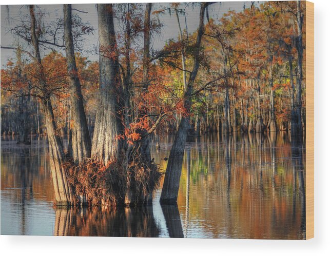 Fall Photographs Wood Print featuring the photograph Cypress Group by Ester McGuire