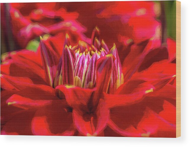 Dahlia Wood Print featuring the photograph Dahlia Study 1 Painterly by Scott Campbell