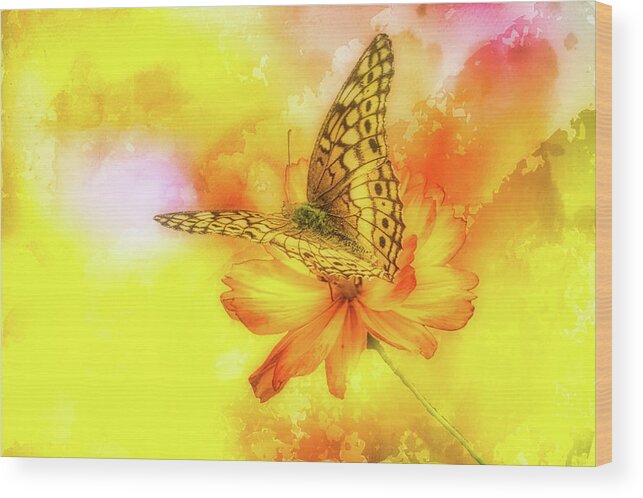 Flower Wood Print featuring the photograph Daisy for a Butterfly by Ches Black