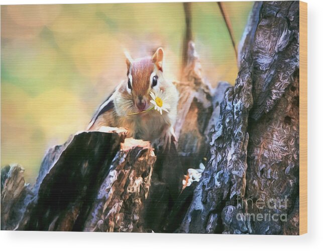 Chipmunk Wood Print featuring the photograph Daisy Girl by Tina LeCour