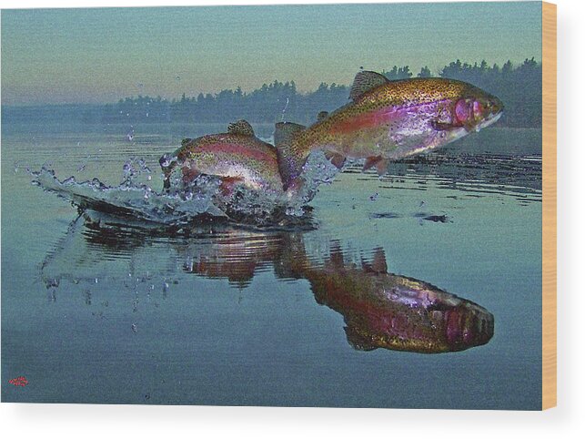 Rainbow Trout Wood Print featuring the photograph Dance Of The Trout by Brian Pelkey