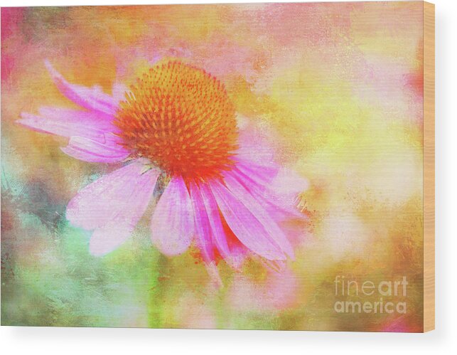 Coneflower Wood Print featuring the photograph Dancing Coneflower Abstract by Anita Pollak