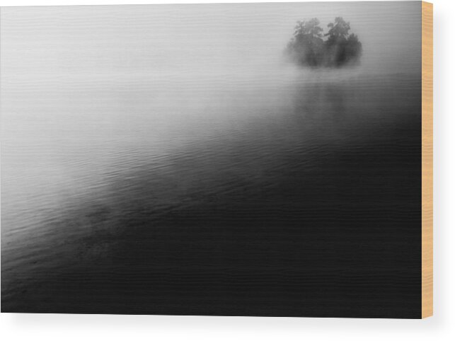 Foggy Landscape Wood Print featuring the photograph Darkness and Light by Parker Cunningham