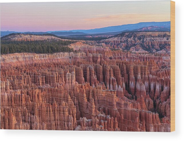 Bryce Canyon National Park Wood Print featuring the photograph Dawn At Bryce by Jonathan Nguyen