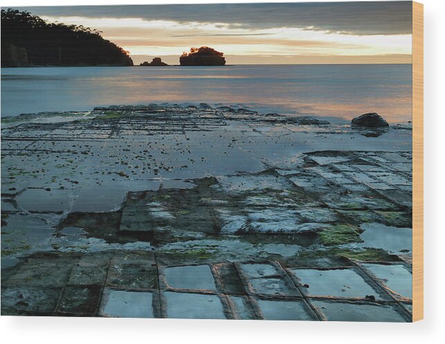 Dawn Wood Print featuring the photograph Dawn at the Tessellated Pavement by Nicholas Blackwell