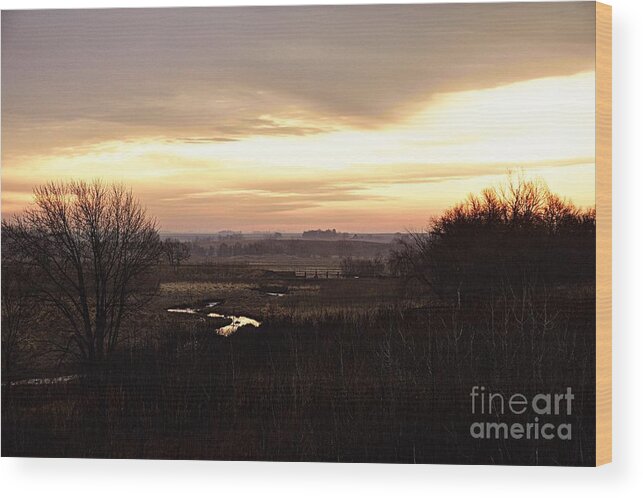 Photography Wood Print featuring the photograph Dawn in the Valley by Larry Ricker