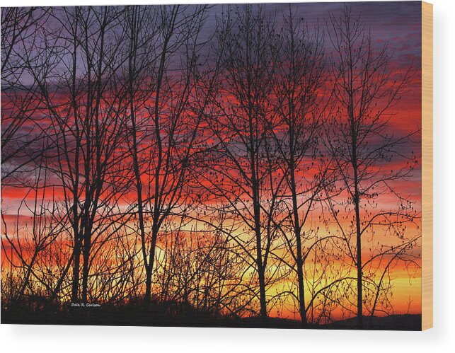 Blue Ridge Mountains Wood Print featuring the photograph Daybreak by Dale R Carlson