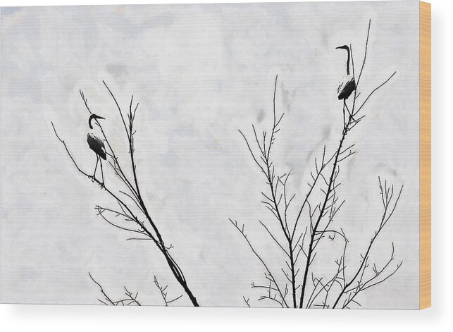 Bird Wood Print featuring the photograph Dead Creek Cranes by Jim Proctor