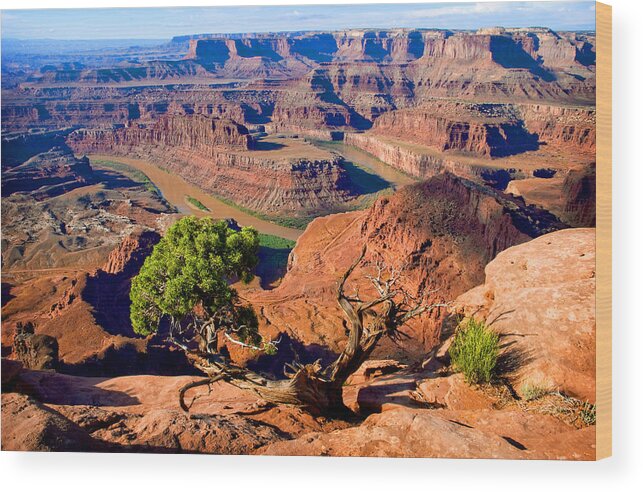 Dead Horse State Park.utah Wood Print featuring the photograph Dead Horse Point by Frank Houck
