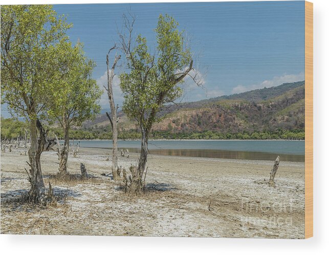 Landscape Wood Print featuring the photograph Dead Lake 1 by Werner Padarin