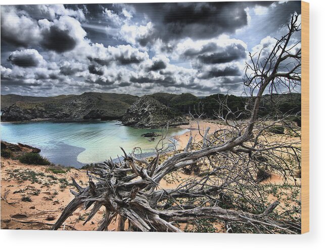 Outdoor Wood Print featuring the photograph Dead Nature Under Stormy Light In Mediterranean Beach by Pedro Cardona Llambias