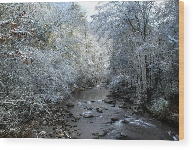 Winter Scene Wood Print featuring the photograph December by Mike Eingle