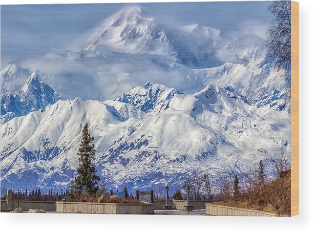  Wood Print featuring the photograph Denali by Michael W Rogers