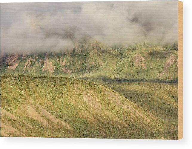 Alaska Wood Print featuring the photograph Denali National Park Mountain Under Clouds by Joni Eskridge