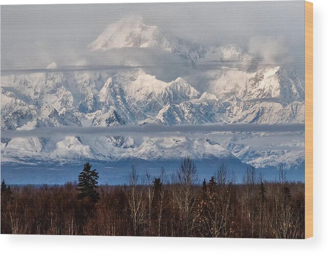 Denali Wood Print featuring the photograph Denlai 2016 by Michael W Rogers