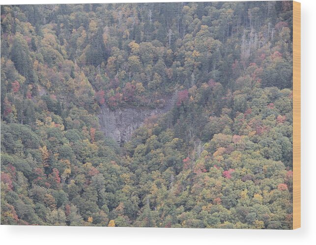  Blue Ridge Parkway Scene Wood Print featuring the photograph Dense Woods by Allen Nice-Webb