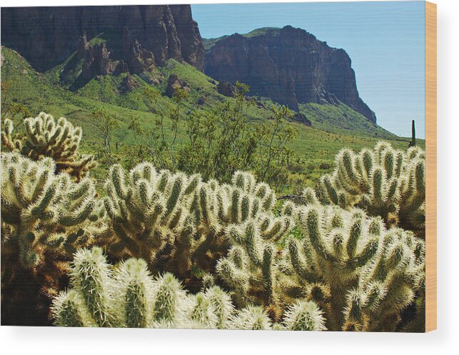 Arizona Wood Print featuring the photograph Desert Cholla 1 by Jill Reger