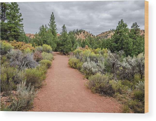 Landscape Wood Print featuring the photograph Desert Fresh by Margaret Pitcher