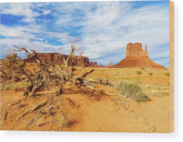Monument Valley Wood Print featuring the photograph Desert Life II by Raul Rodriguez
