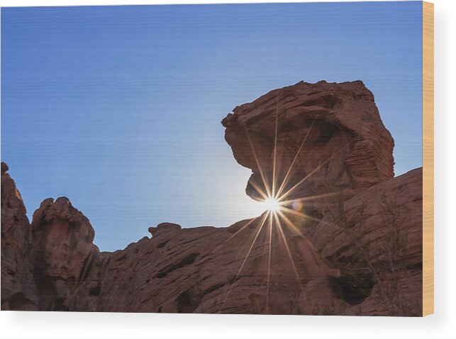 State Park Wood Print featuring the photograph Desert Sun by Ed Clark