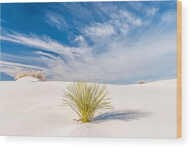 White Wood Print featuring the photograph Desert Trio - White Sands National Monument Photograph by Duane Miller