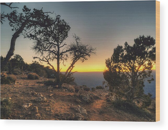 Grand Wood Print featuring the photograph Desert View Cliff Top by Ray Devlin