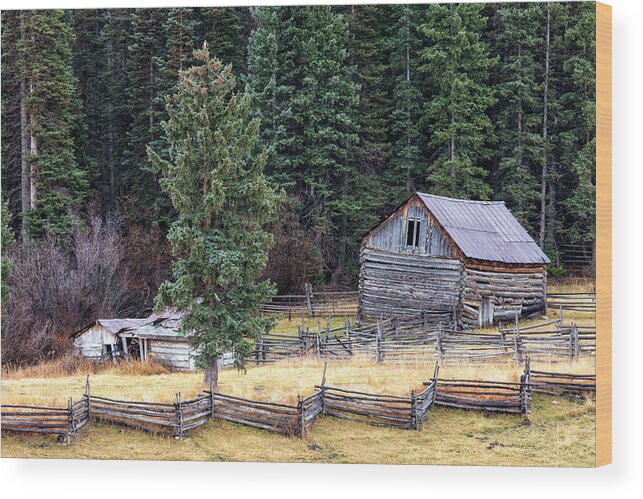 Barn Wood Print featuring the photograph Deserted Farm by Denise Bush
