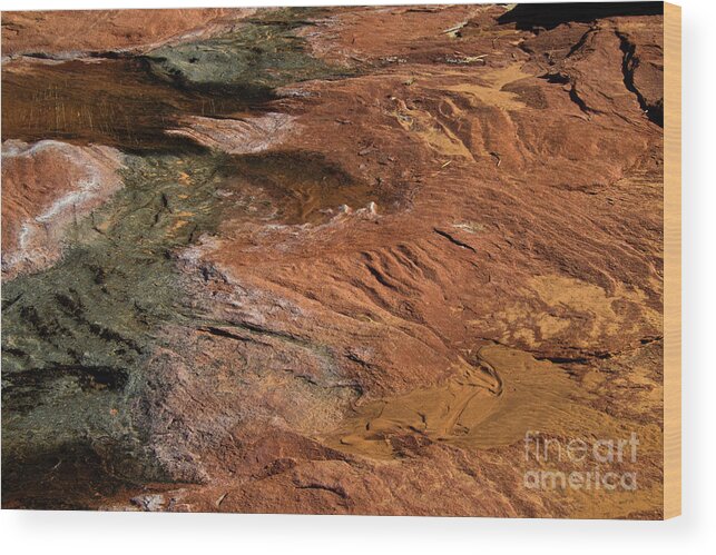 Lake Powell Wood Print featuring the photograph Designs in Stone by Kathy McClure